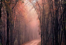 40岁詹姆斯入选全明星首发 21次入选全明星再创纪录.