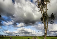 40岁詹姆斯入选全明星首发 21次入选全明星再创纪录.