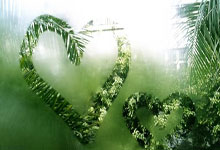 [女足]李梦雯右路传中 唐佳丽铲射破门.